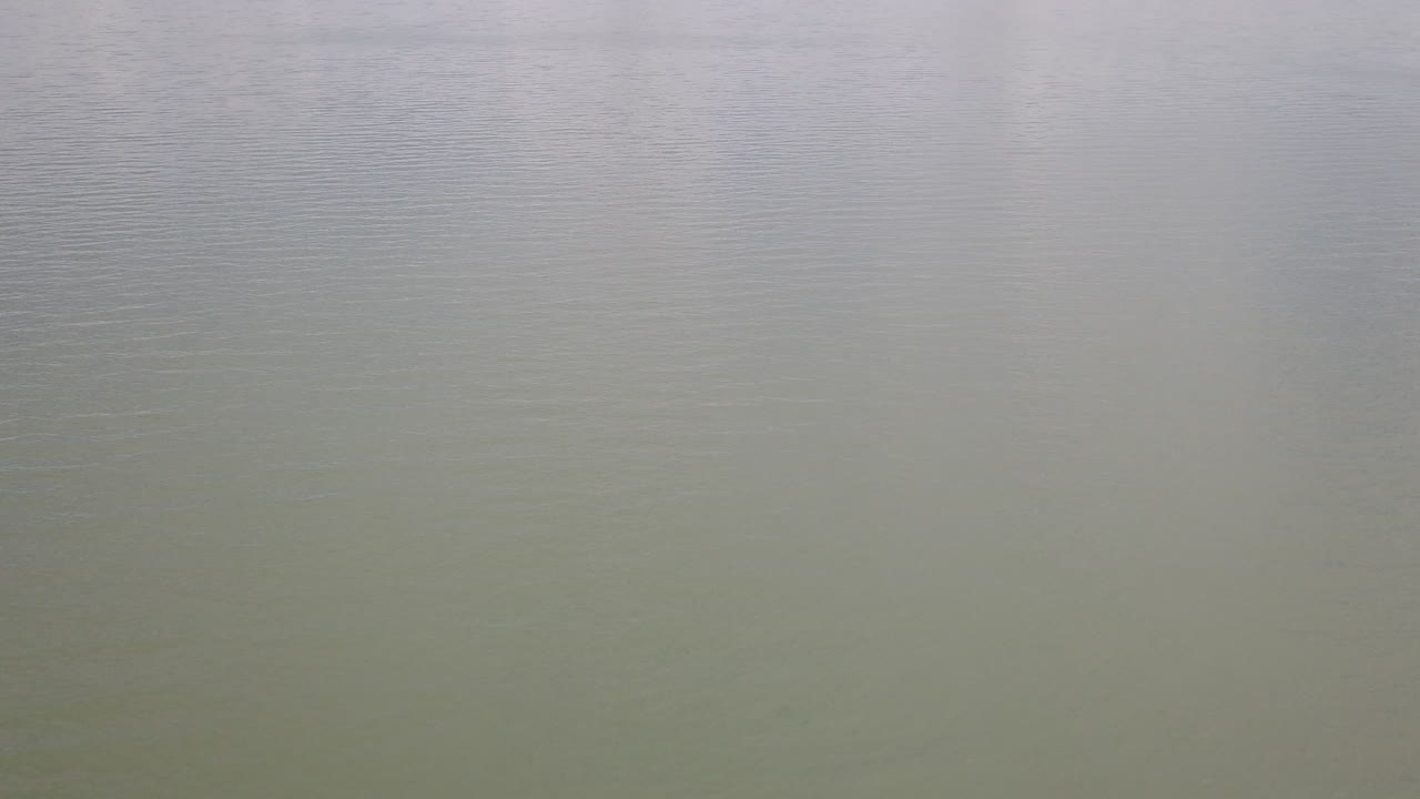 산 배경으로 아름다운 해변의 샷