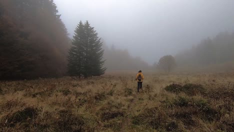 hikers walking in a misty meadow among red and yellow pines