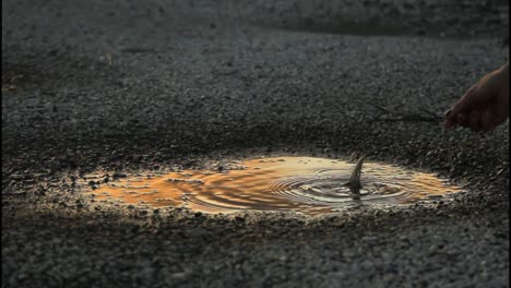 sunset puddle play