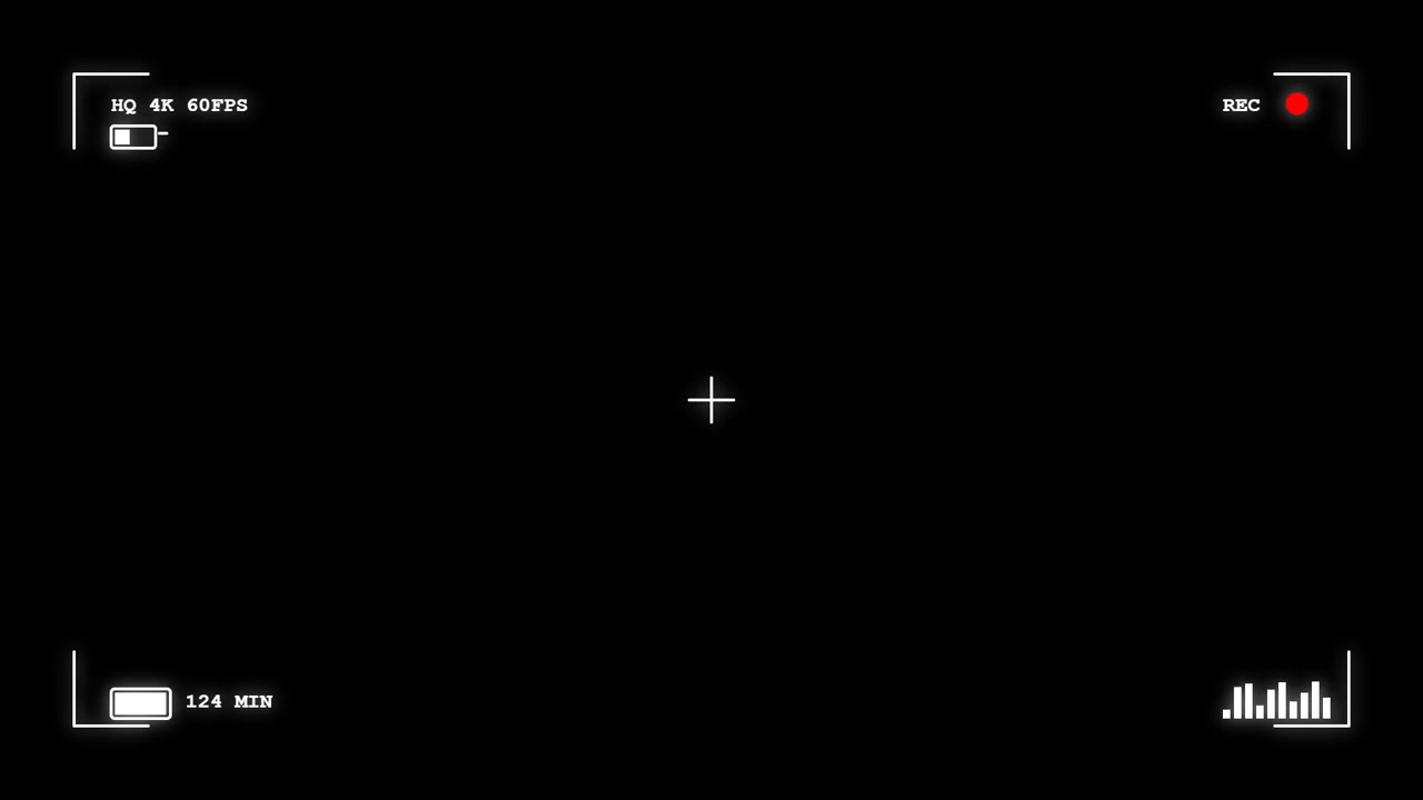 Digital Camera Viewfinder Overlay with Recording Indicator
