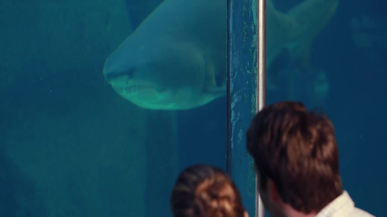 una joven pareja admirando un tanque de peces