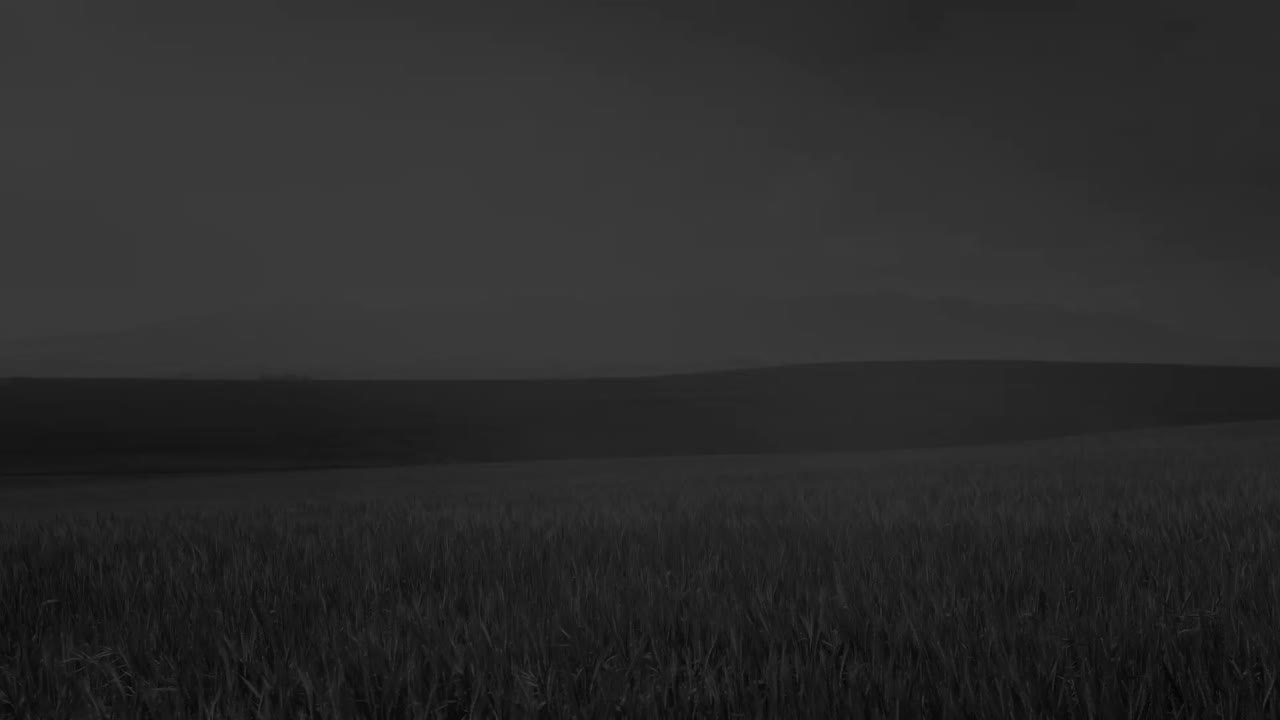 animación de datos financieros y gráficos en pantallas digitales y turbinas eólicas