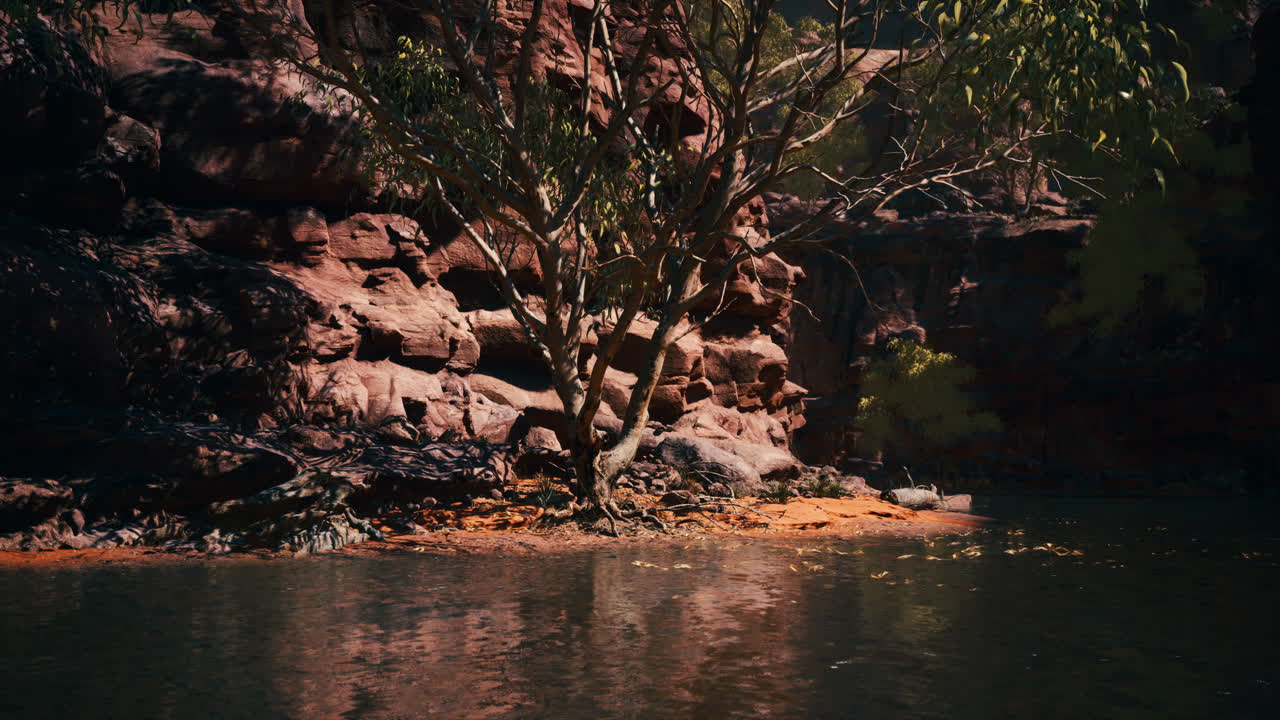 여름의  ⁇ 은 날에 파월 호수