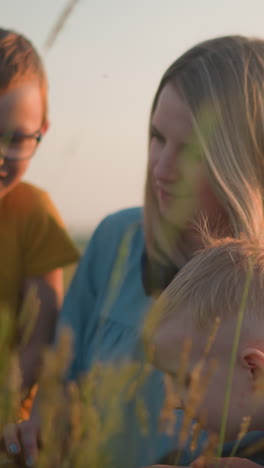 a woman in a blue gown, wearing a headset around her neck, sits in a grassy field working on a laptop as her two young sons happily watch her