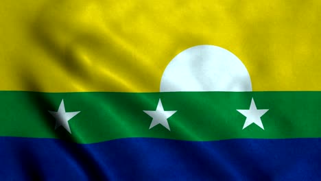 la bandera de nueva esparta con un bucle sin costuras de 4k
