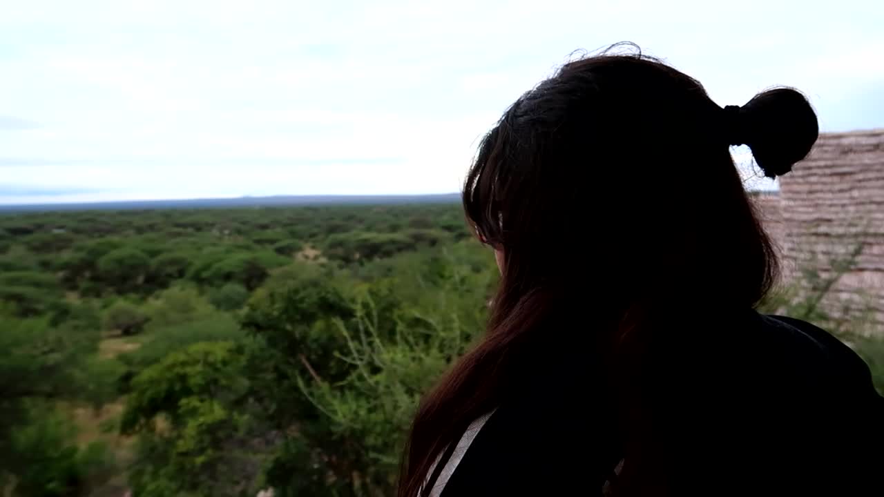 Giovane donna su una terrazza che guarda l'orizzonte di alberi nel Parco Nazionale del Tarangire
