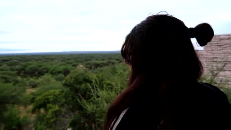 mujer joven en una terraza mirando el horizonte de los árboles en el parque nacional tarangire