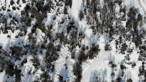 Toma-Aérea-De-Arriba-Hacia-Abajo-Del-Idílico-Paisaje-Invernal-Con-árboles-En-La-Patagonia-Durante-El-Invierno