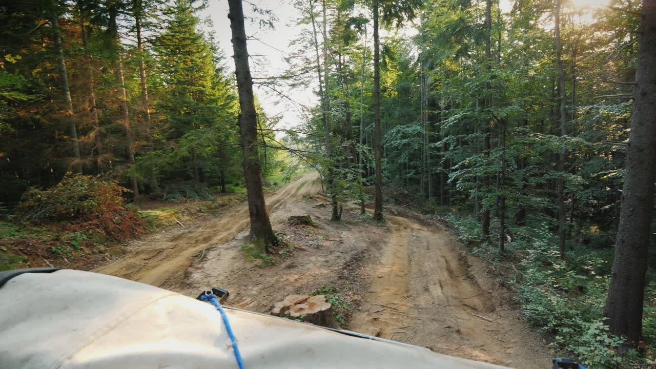 conducción todoterreno extrema y charcos safaris todoterreno en el bosque
