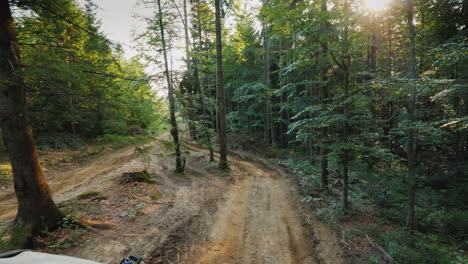 Extreme-Offroad-Fahrten-Und-Pfützen-Offroad-Safaris-Im-Wald