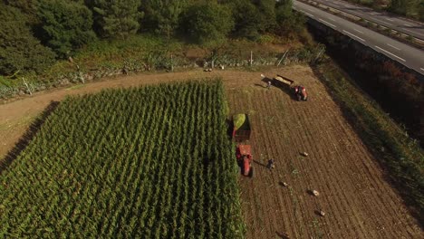 La-Máquina-Tractora-Trabaja-En-El-Campo-De-La-Granja