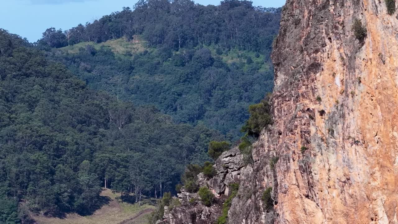 Vista dettagliata di una parete rocciosa verticale che si affaccia su una lussureggiante valle di foresta di eucalipti verde