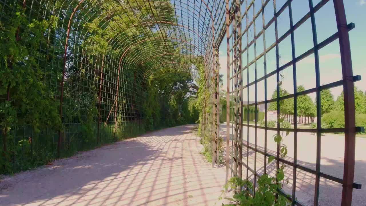 Hyperlapse though beautiful arched wooden frame with plants growing on it during sunny day.
