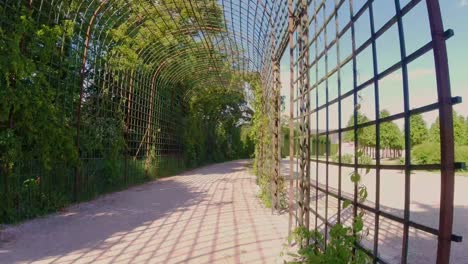 hyperlapse though beautiful arched wooden frame with plants growing on it during sunny day.