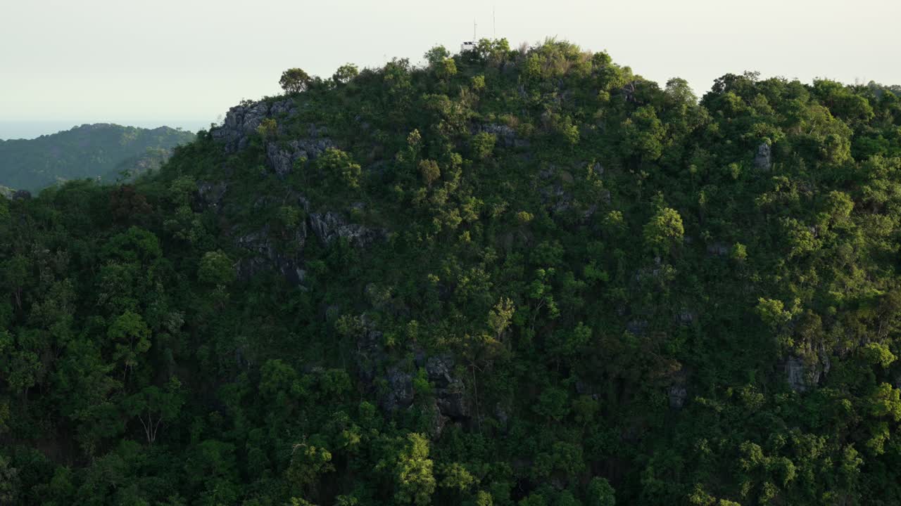 Lush green mountain covered in dense tropical forest Cat Ba Vietnam national park biodiversity