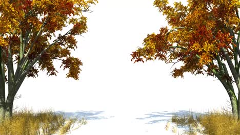 dry yellow leaf tree moving in the wind on white background with alpha matte