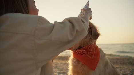 close-up shot: a blonde girl on a sunny beach puts a festive cap on her light-colored dog