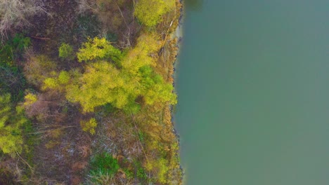 bosque de otoño cerca del lago