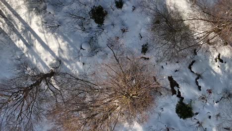 La-Perspectiva-A-Vista-De-Pájaro-Del-Paisaje-Natural-Invernal-De-Glarus-En-Suiza-Muestra-Su-Serena-Belleza-Desde-Arriba.