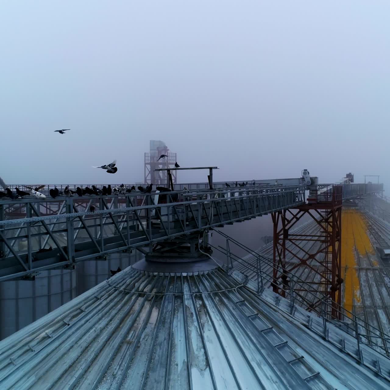 Massive metal beams connecting granary tanks with each other. Birds sitting high above the silo bins. Foggy weather background
