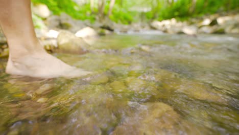 walking barefoot in a flowing stream.