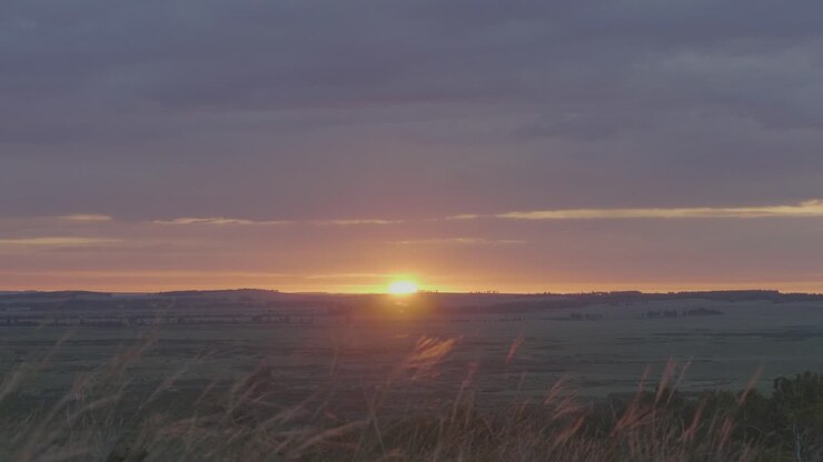 L'alba su un campo