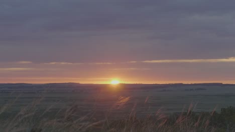 sunrise over a field