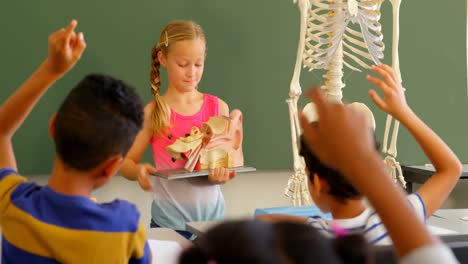 front view of caucasian schoolgirl explaining anatomical model in classroom at school 4k