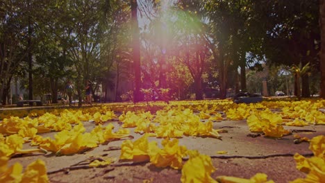 Persona-Irreconocible-Caminando-En-El-Parque-Durante-La-Temporada-De-Otoño,-Hojas-Amarillas-Caídas