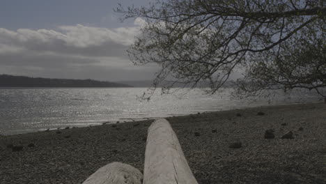 puget sound, washington state