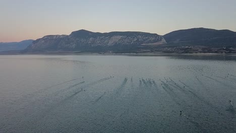 Forward-drone-shot-over-a-lake-following-the-ducks-as-they-fly