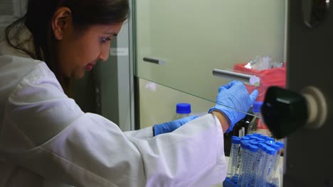 científica que organiza un tubo de ensayo en el laboratorio 4k