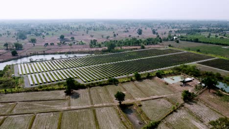 Granja-De-Células-Solares-Fotovoltaicas-Industrial-Para-Energía-Renovable