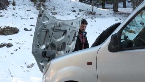 car breakdown in snowy forest