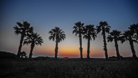 El-Ambiente-Tranquilo-De-Una-Noche-Serena-Se-Ve-Realzado-Por-Un-Pintoresco-Palmeral-Que-Adorna-Con-Gracia-La-Playa-De-Arena,-Acompañado-Por-El-Imponente-Telón-De-Fondo-De-Una-Cautivadora-Puesta-De-Sol