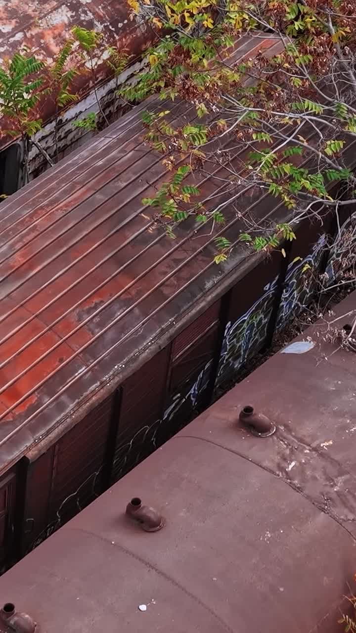 Abandoned train cars in Greece among overgrown weeds and rust