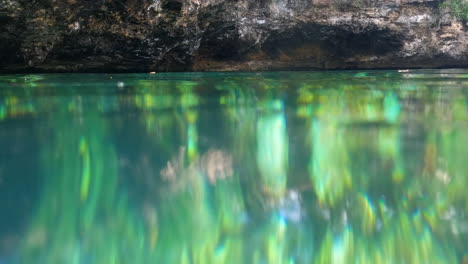 cenote mexicano, vista de la superficie y bajo el agua, peces nadando en aguas turquesas
