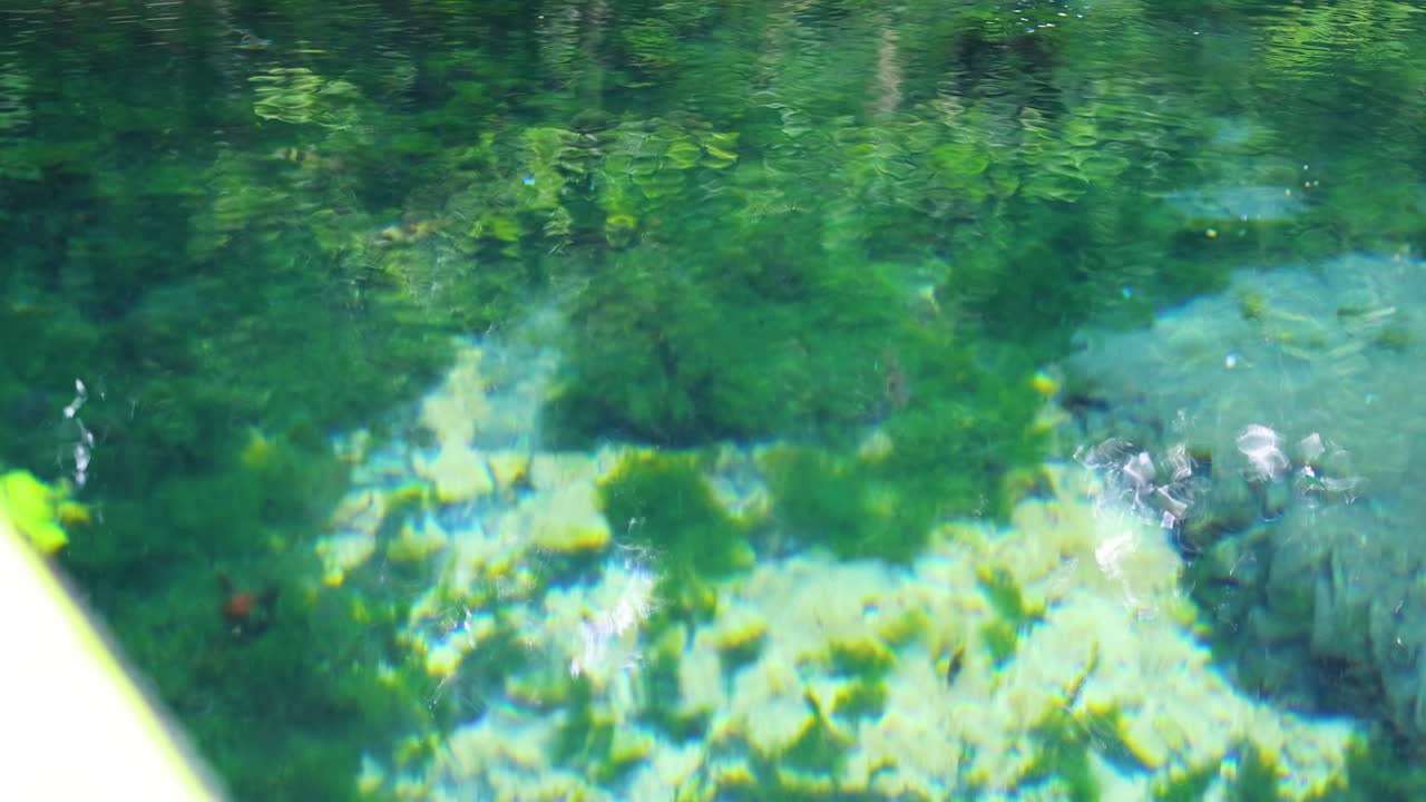 울창 한 크라비 운하 환경 에서 크리스탈처럼 은 물 을 가로질러 카야크 를 타고