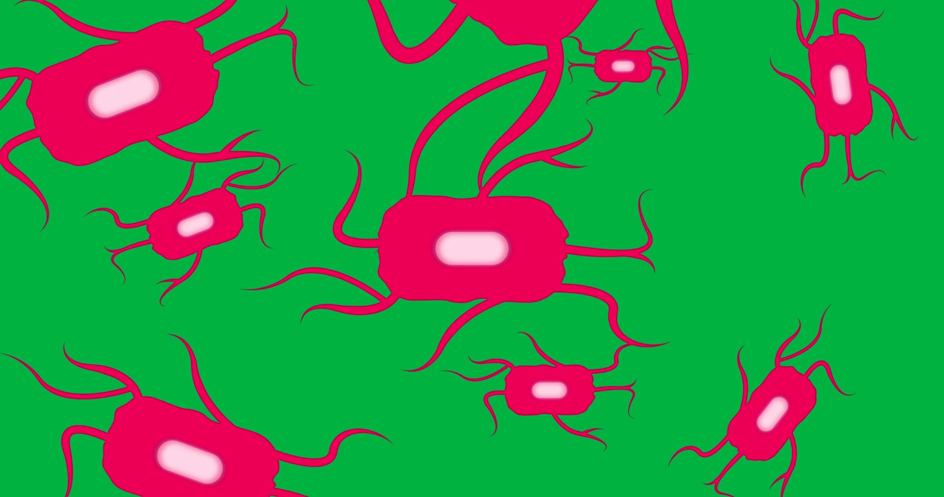Animazione di cellule rosa in movimento su sfondo trasparente.