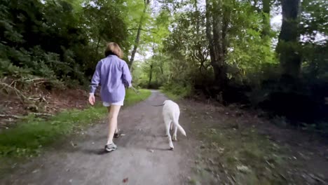 woman walks dog, white labrador down trail