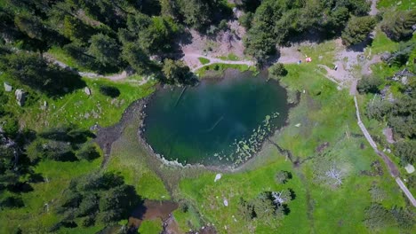 aerial birds eye view over hidden little lake in mountain forest