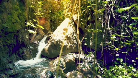 muy hermosa cascada con la luz del sol que pasa a través de las hojas de los árboles en argelia