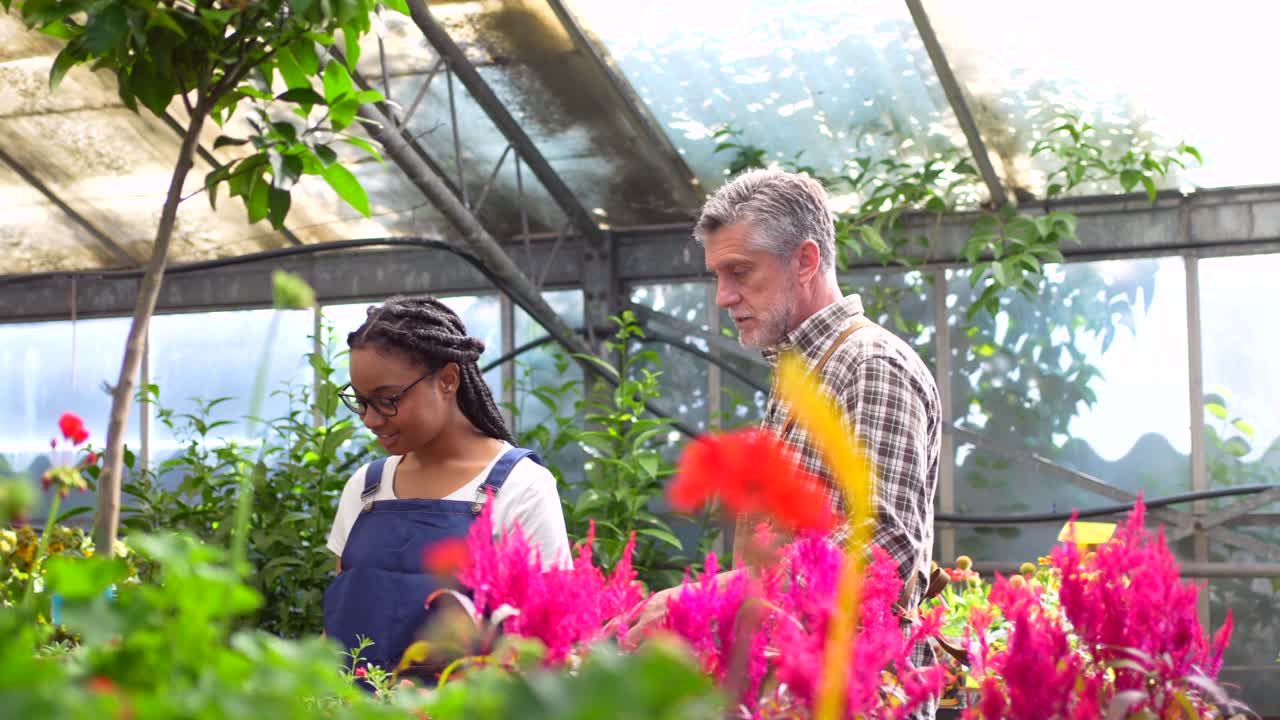 personas que trabajan en un invernadero