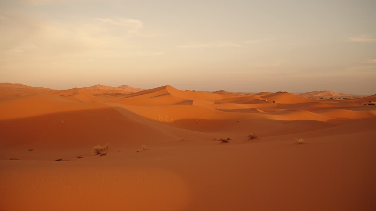 Expansive golden dunes of the Sahara stretch under the soft evening light