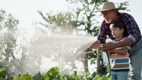 Handheld video of grandson watering vegetables with grandfather