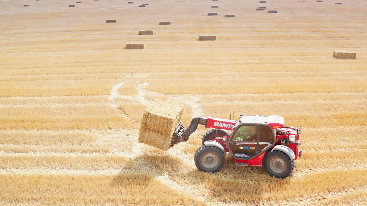 Hay Harvest in a Field