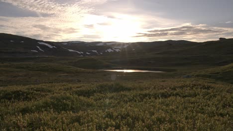 beautiful sunset time lapse with golden light and passing clouds at mountain vikafjell in western norway - sun reflections in small pond and lightrays hitting lens and blueberry heather in foreground
