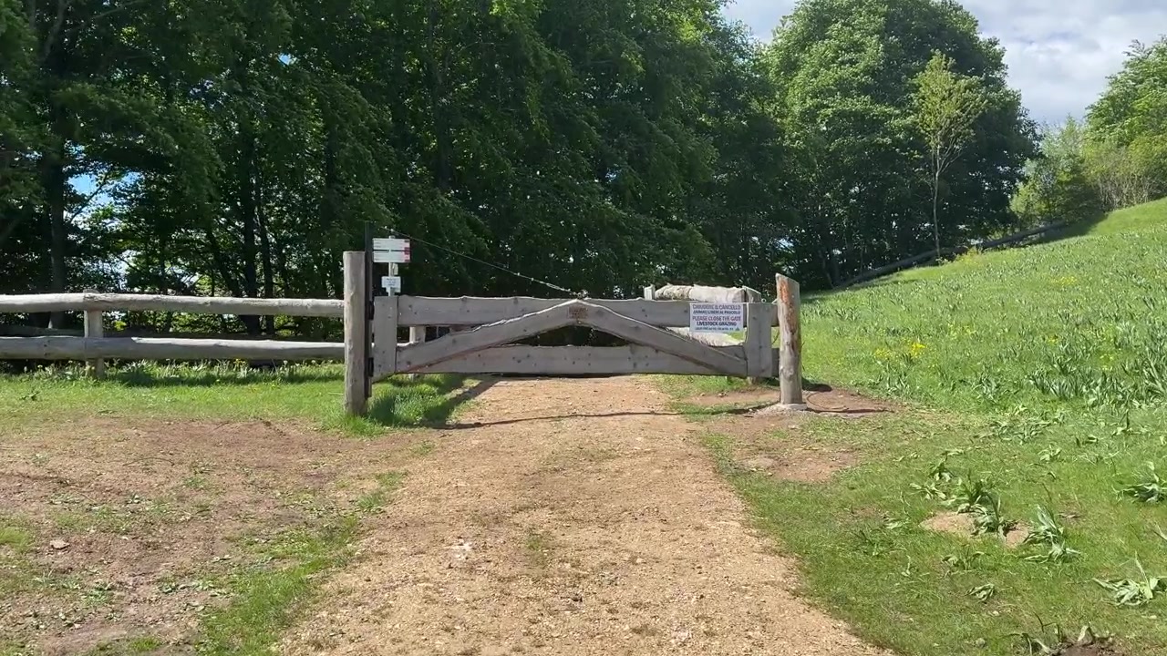 Cancello rustico a paletti di legno su un sentiero sterrato accanto a un campo erboso in campagna. Ripresa dolly POV.