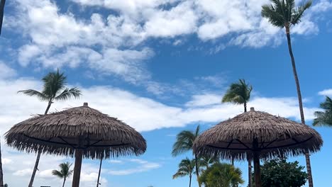 Cloudscape-over-the-palm-trees-and-shade-tiki-thatch-hula-umbrellas-at-a-tropical-beach---motion-time-lapse