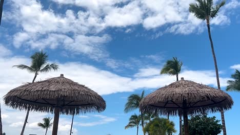 cloudscape sobre las palmeras y sombra tiki paja hula sombrillas en una playa tropical - lapso de tiempo de movimiento